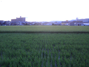 b0114723_1631737.jpg