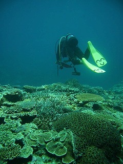 母と娘の二人旅。　　2日目（西表島）_c0111530_223072.jpg