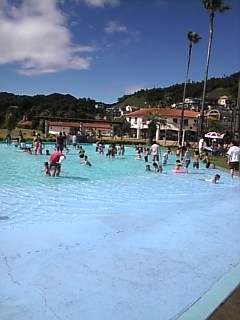 d0109551_5391132.jpg