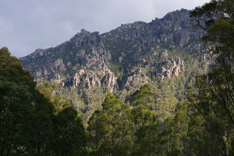 f0137354_1916824.jpg