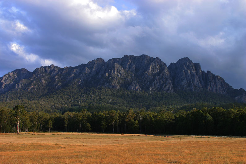 f0137354_19172758.jpg