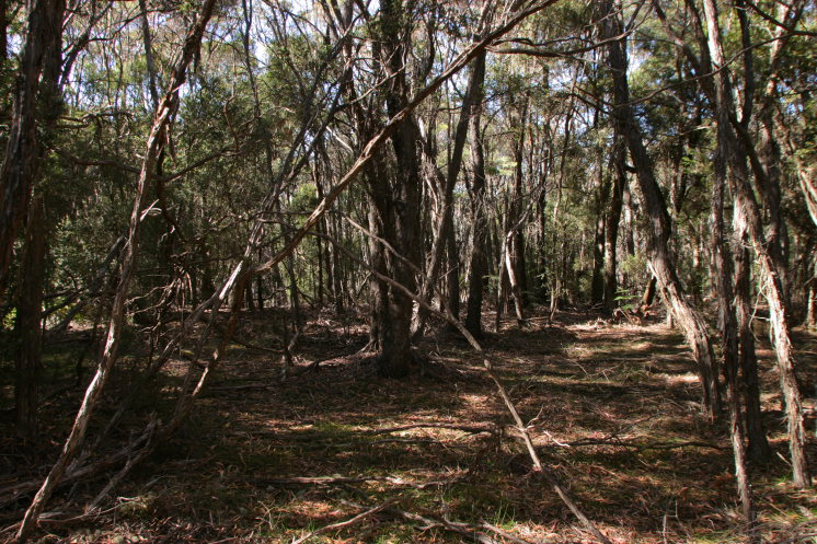 f0137354_19195290.jpg