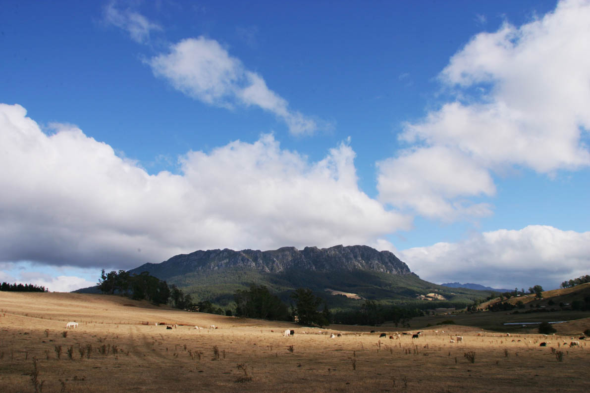 f0137354_198247.jpg