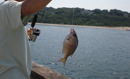 夏の日曜日_c0055857_11422747.jpg