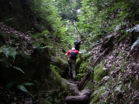 c0002874_22421941.jpg