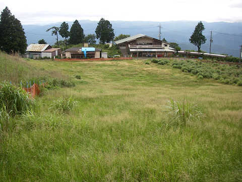 c0002874_2255427.jpg