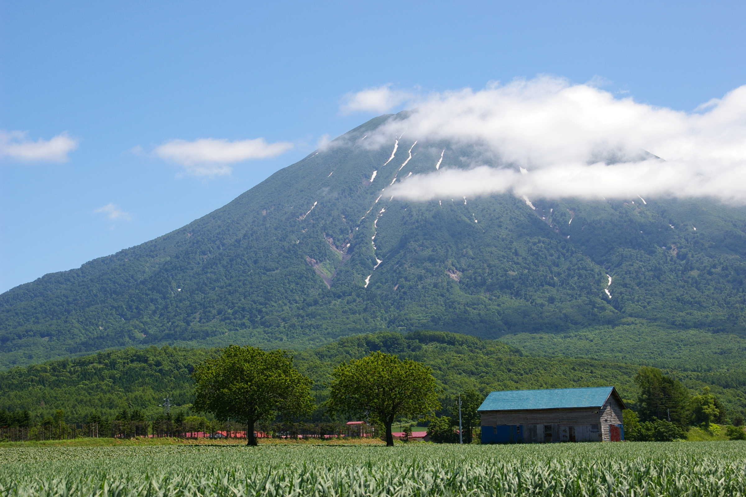 晴れたけど・・・_f0130574_8421393.jpg