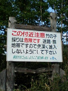 d0101276_3184494.jpg