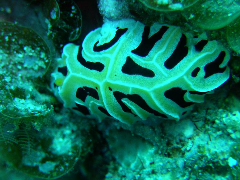 c0118393_921630.jpg