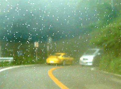 f0001993_18264948.gif