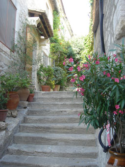 Bonjour! Gordes~Senanque~Baux de Provence_a0093595_0101546.jpg