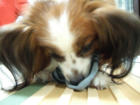 c0044199_12284.jpg