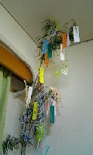 c0053700_23371076.jpg