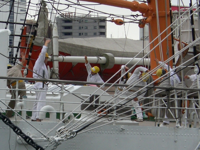 d0023818_9465076.jpg