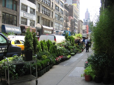 f0147518_5222099.jpg