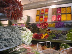 f0147518_5235163.jpg