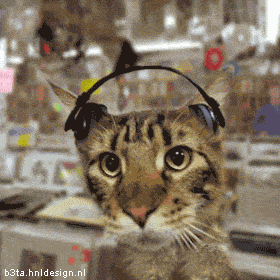 e0121325_338192.gif