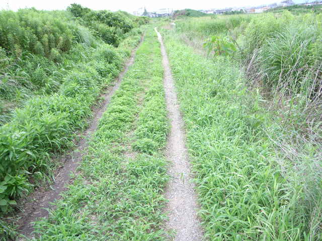 あぜ道にて_e0120930_2229578.jpg