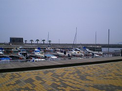 a0055835_192455.jpg