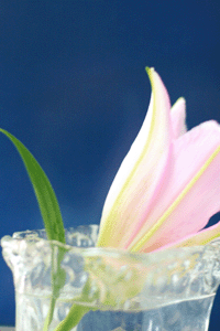 f0134642_2211791.gif