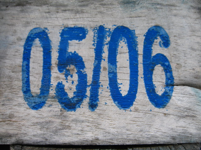 d0101846_6535314.jpg
