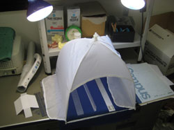 b0112648_0362391.jpg