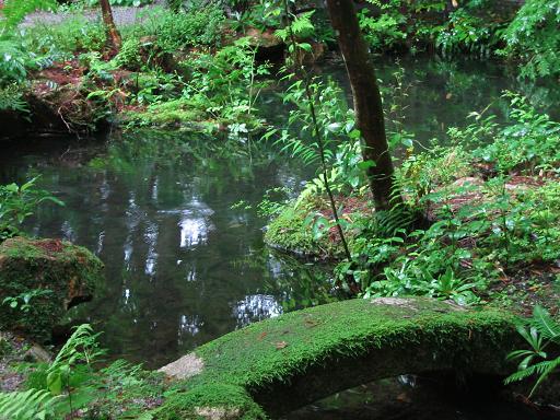 梅雨の雨にぬれた　お寺で・・・_d0112251_20495067.jpg