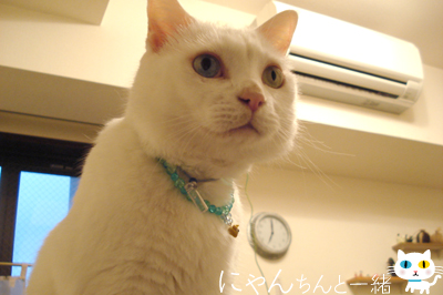運光さま復活_e0031853_1255680.jpg