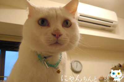 運光さま復活_e0031853_1265980.jpg