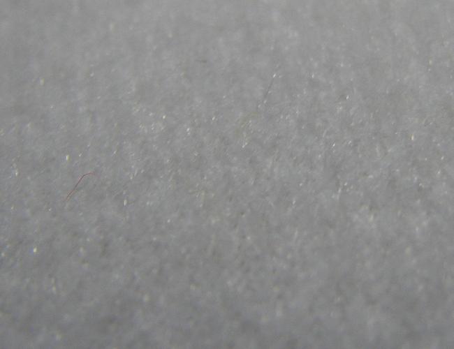 f0081853_2321548.jpg