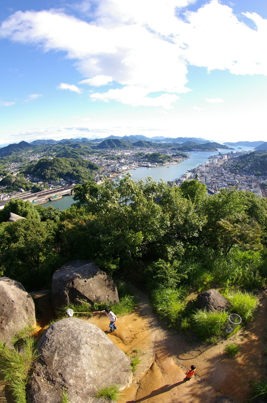 ７月１５日　台風一過_a0009554_2015812.jpg