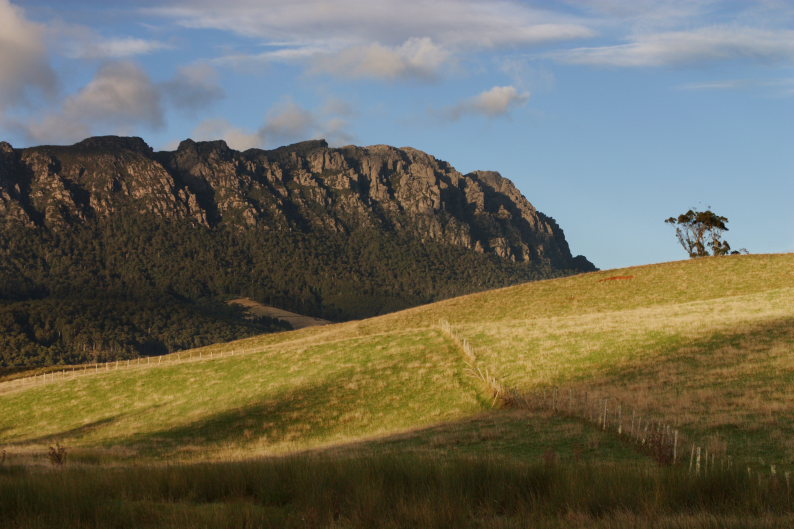 f0137354_19354839.jpg