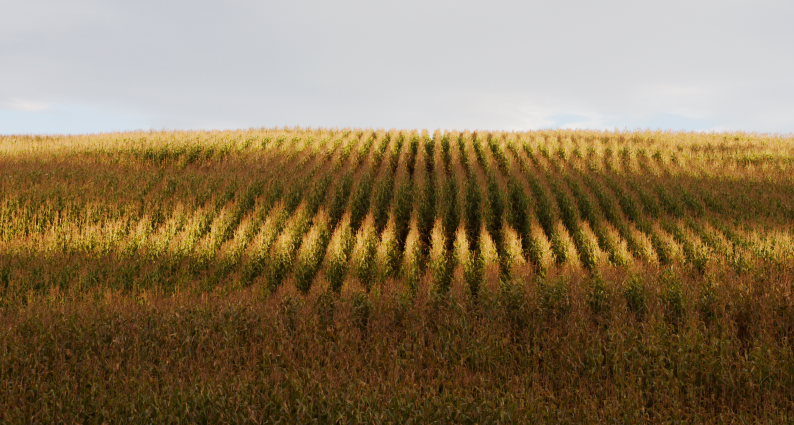 f0137354_1936780.jpg