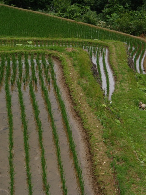 秋山郷、その5_b0069761_22323670.jpg