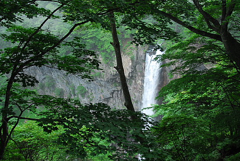 b0053765_9415685.jpg