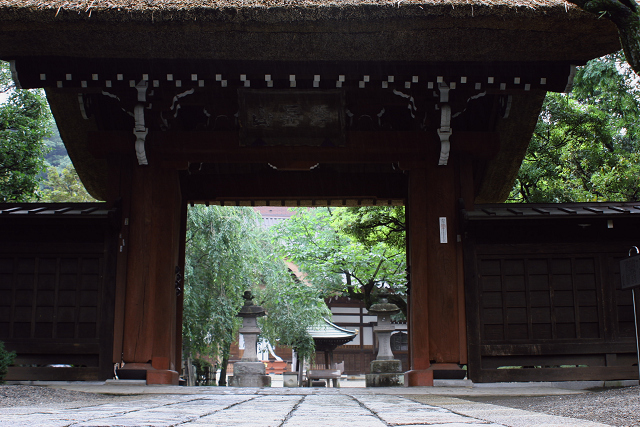 深大寺(７月１７日）_c0057265_16205326.jpg