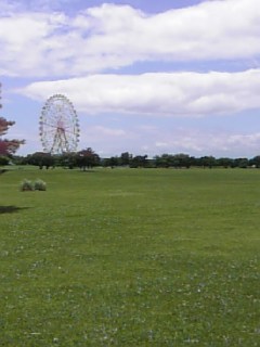b0038570_11105512.jpg