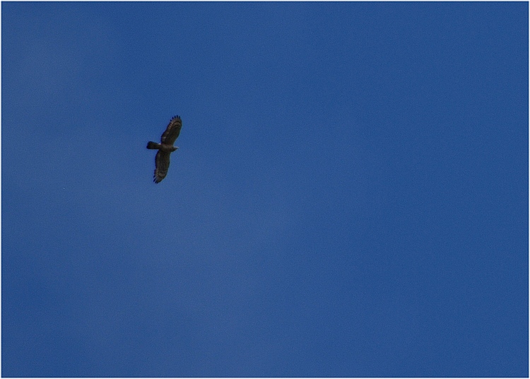 f0088971_024513.jpg