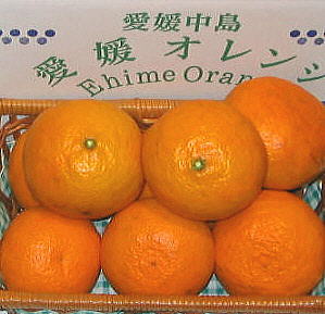 e0009772_225429.jpg