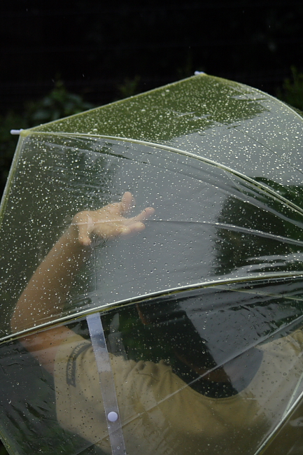 甘楽の雨_e0100277_23371861.jpg