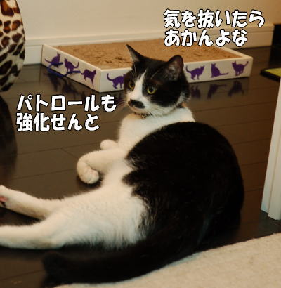 b0041182_12528.jpg