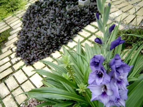 c0112206_22473971.jpg