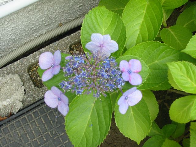 f0123712_23271398.jpg