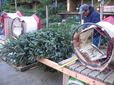f0147518_563590.jpg
