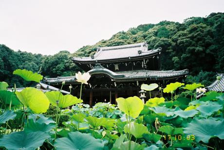 a0036139_0164430.jpg