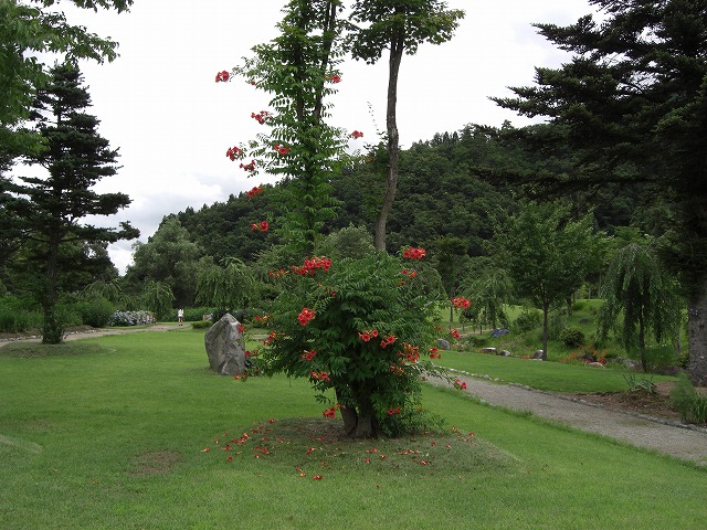 六日町銭淵公園_a0084753_16461867.jpg