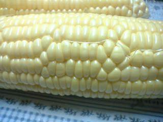 a0053063_2354195.jpg