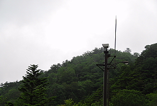 b0053765_12484770.jpg