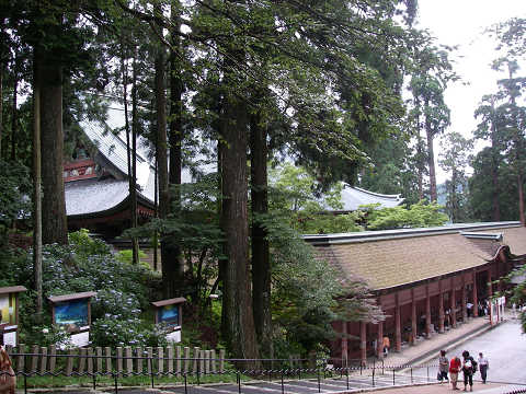 c0002874_0131741.jpg