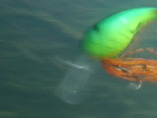 水中動画_a0040876_052281.jpg